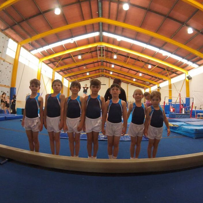 Boys competitive gymnastics