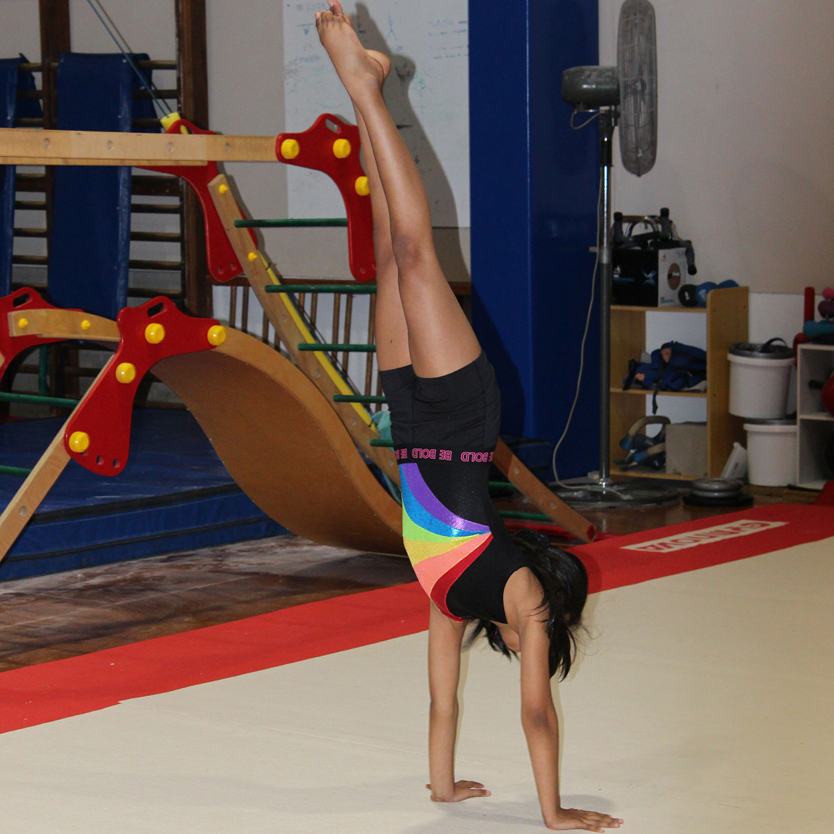 Beginner Girls Gymnastics Classes