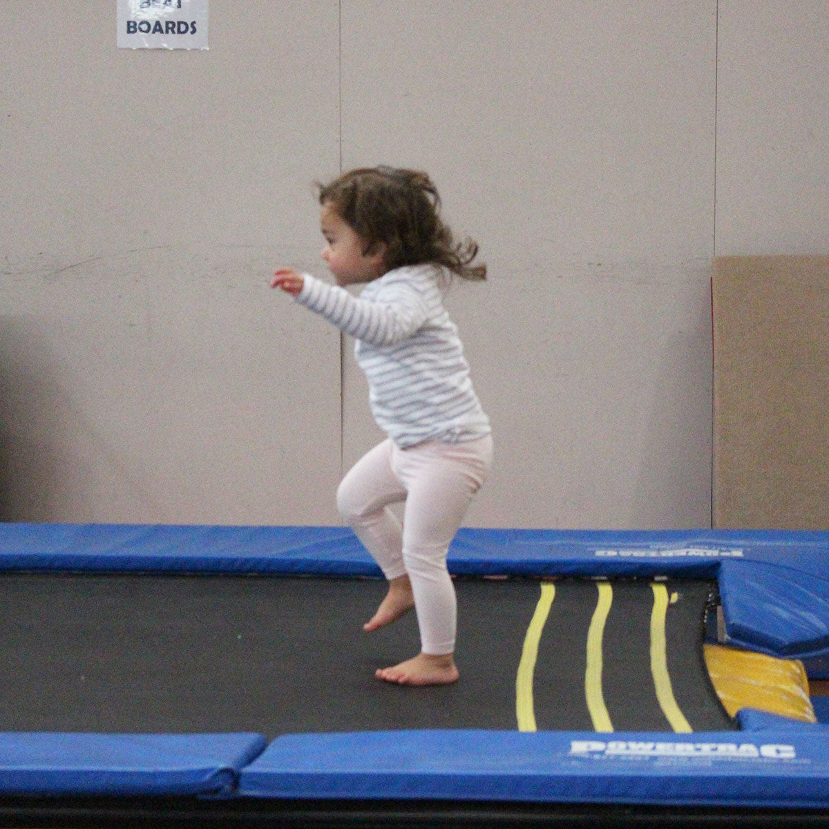 Preschool Gymnastics Classes